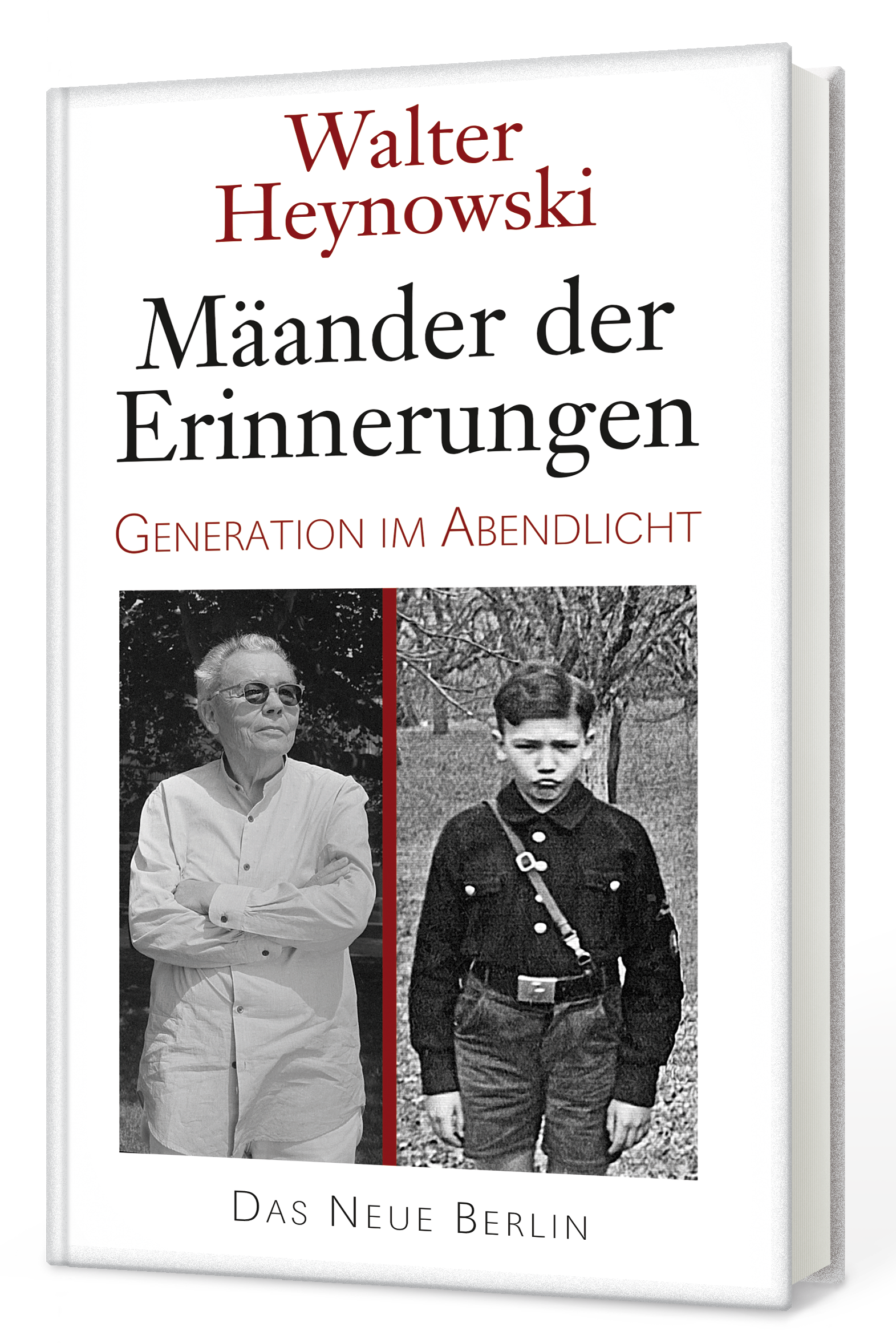 Heynowski_Mäander_3D.png