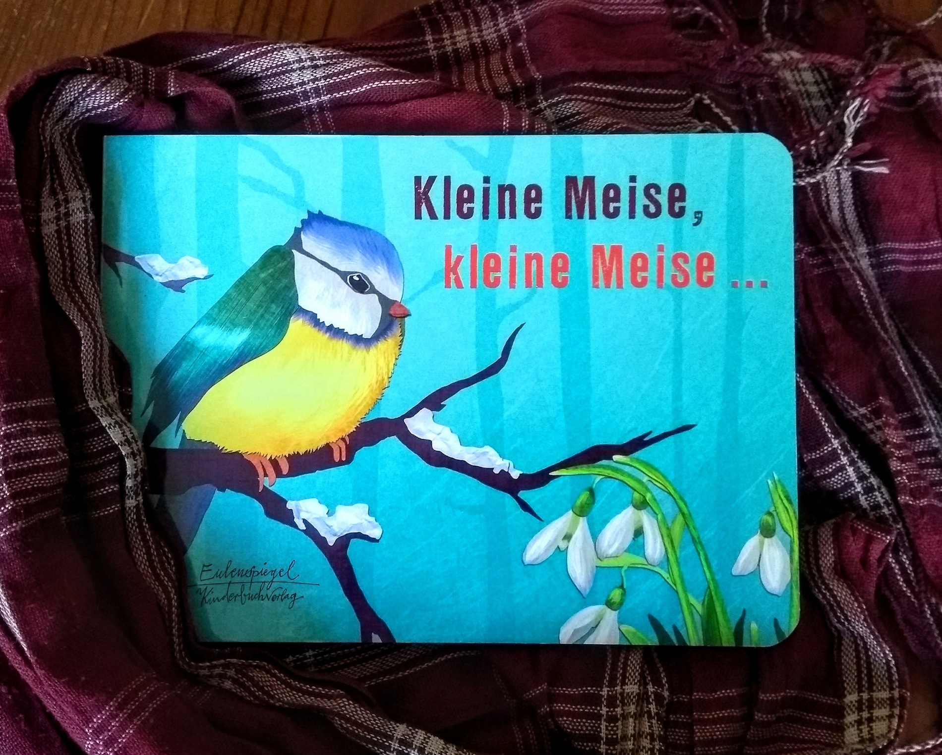 Kleine Meise 1