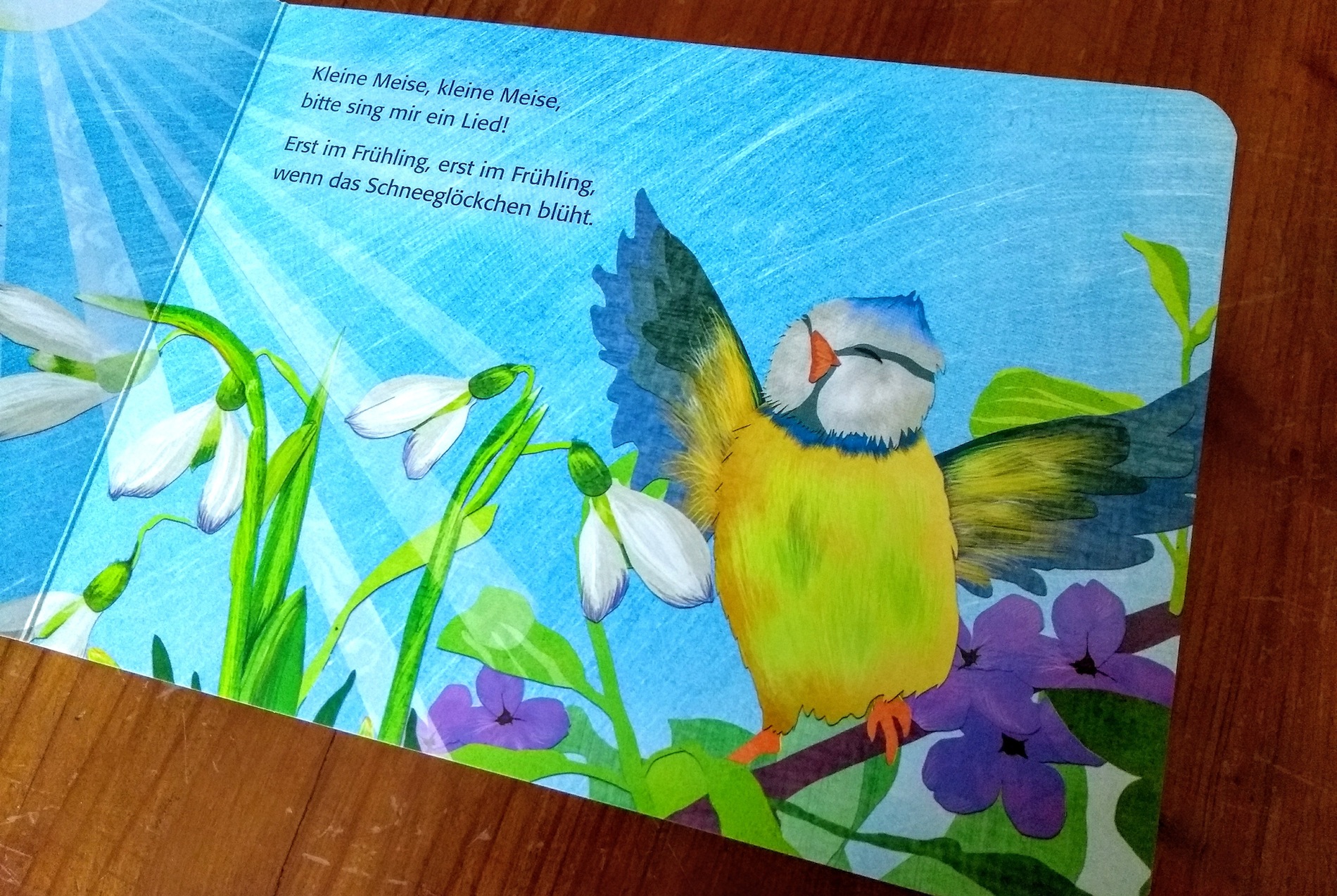 Kleine Meise 3