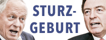 Sturzgeburt 210x80