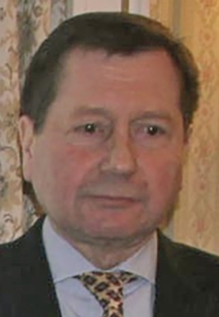 Wladimir M. Grinin