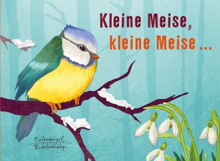 Kleine Meise, kleine Meise ...